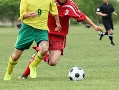 镜报独家,麦克托米奈,签名战袍拍,PG官网,PG模拟器,PG电子,PG注册,PG平台,PG试玩