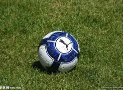 镜报独家,麦克托米奈,签名战袍拍,PG官网,PG模拟器,PG电子,PG注册,PG平台,PG试玩