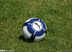 卡戴珊法学,考试成功,历经四次冲,PG官网,PG模拟器,PG电子,PG注册,PG平台,PG试玩