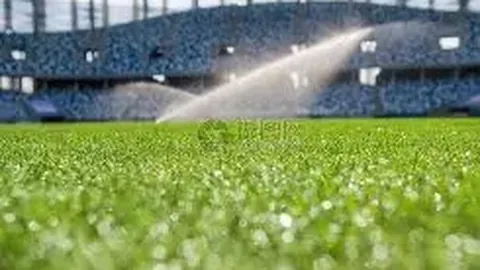 朱婷与撒贝宁互动比心，网友笑谈小撒身高：萌态十足